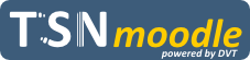 Beschreibung: Beschreibung: Z:\1 EIGENE DATEIEN Server\1 EIGENE DATEIEN Server\Homepages\0_dietmar\links\Icon links\tsnlogo_moodle.png